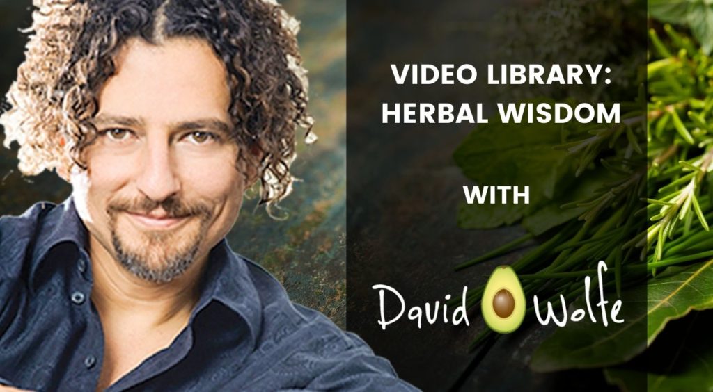 Video Blog Category - Frequency Lifestyle - David Avocado Wolfe - Herbal Wisdom