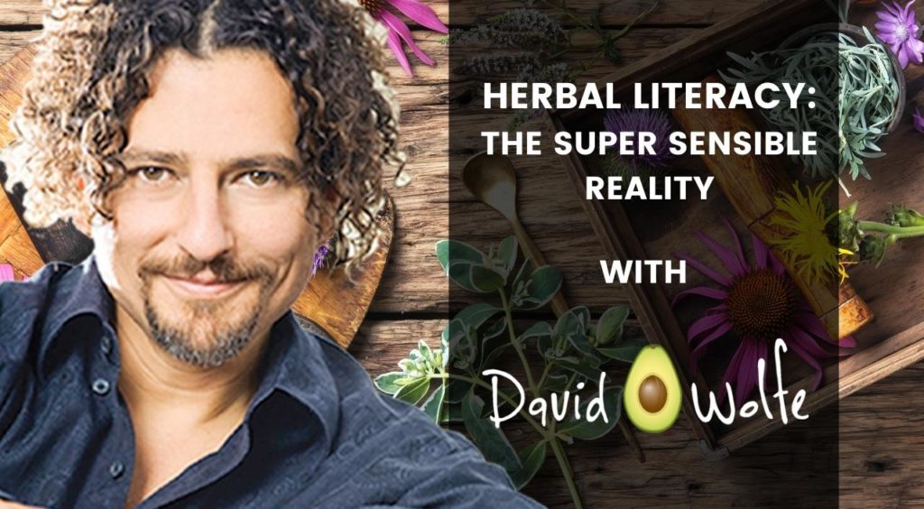 David Avocado Wolfe: Video Blog - Herbal Literacy - The Super Sensible Reality
