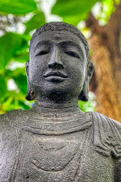 buddha-5112658_1280.jpg